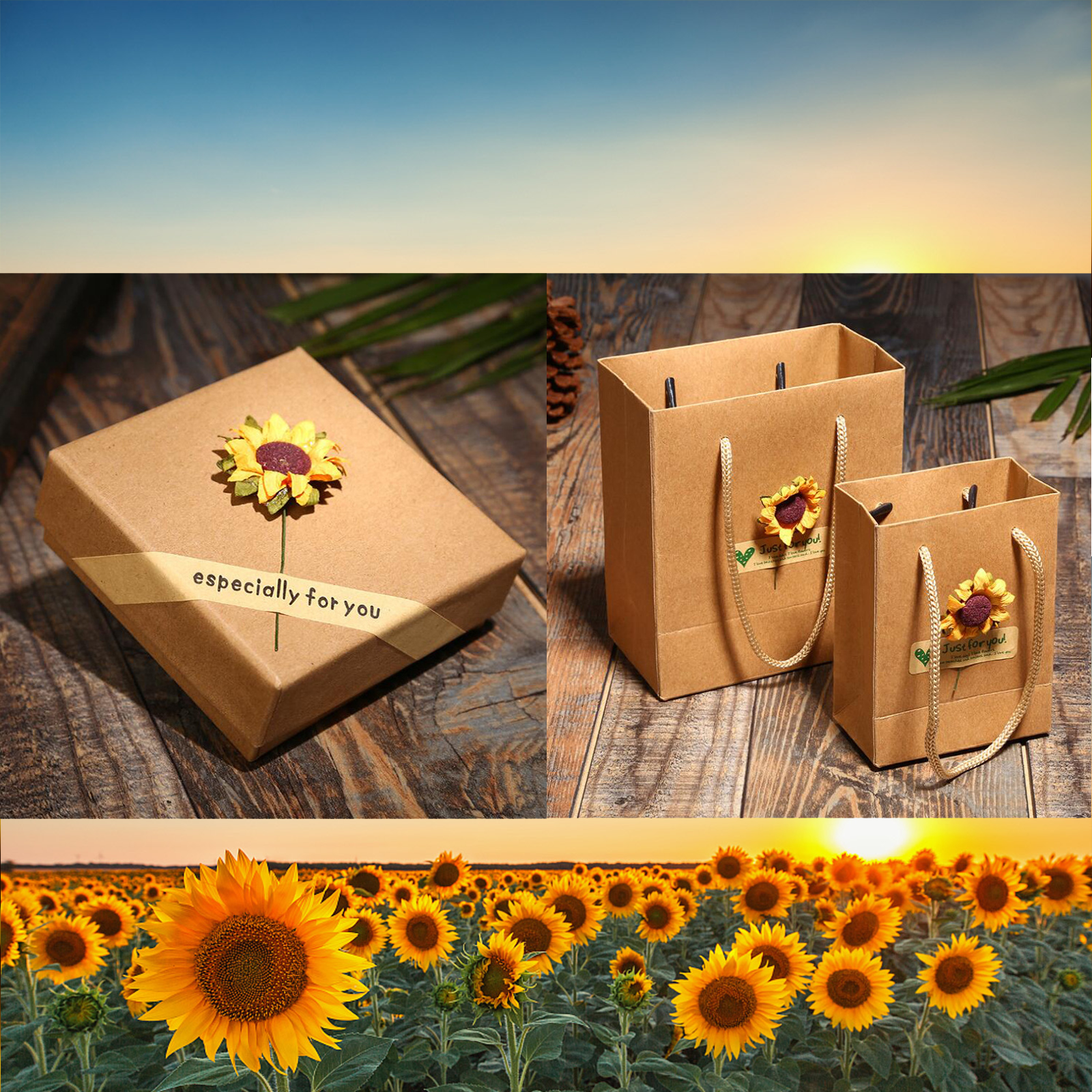 SunBloom™ Carry Sunshine Daily