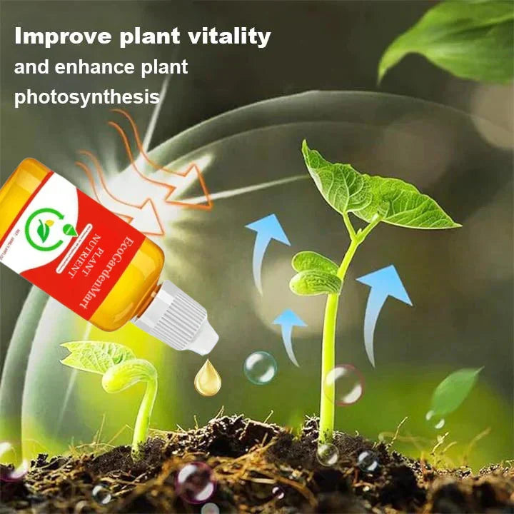 2+1 Free | RootRise™ Faster Plant Recovery