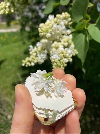FloraPress™ Craft Botanical Keepsakes