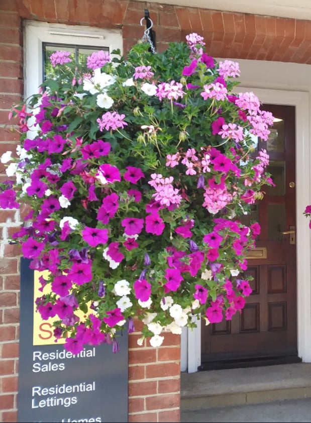 BloomGlory™ Lifelike Morning Blooms