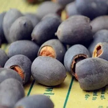 LushLotus™ Cultivate Natural Beauty