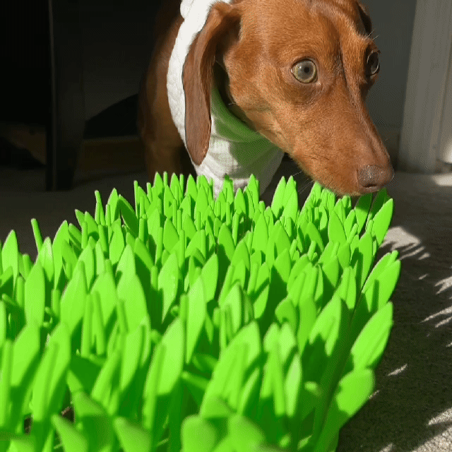 MealMat™ Comfortable Pet Eating