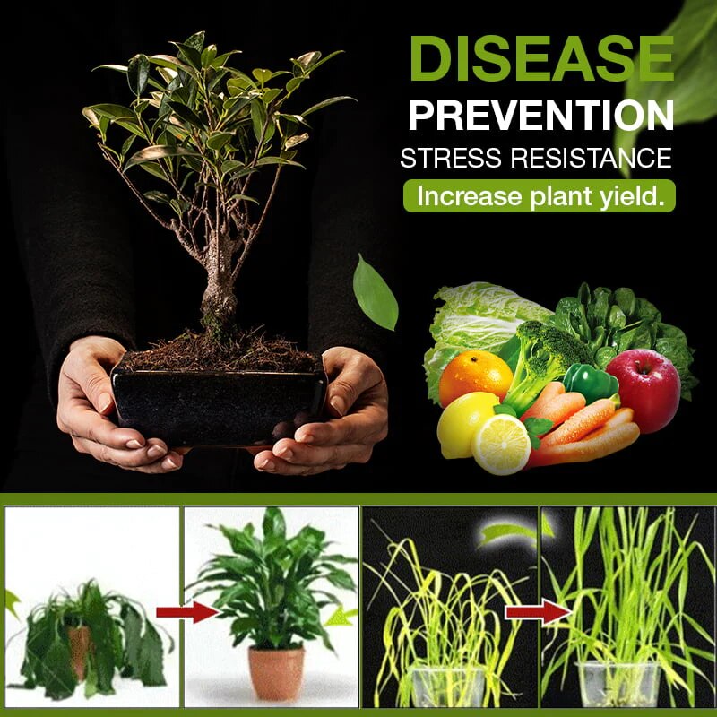 SoilSpark™ Ignites Growth Potential