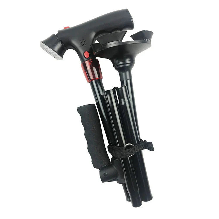 LumiWalk™ Guided Night Walks