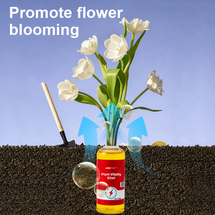 1+1 Free | VitalBloom™ Strengthen Plant Growth