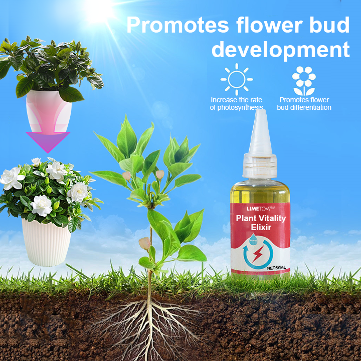 1+1 Free | VitalBloom™ Strengthen Plant Growth