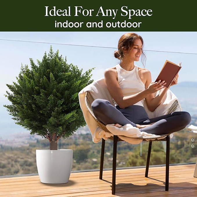 CedarGreen™ Instant Landscape Upgrade