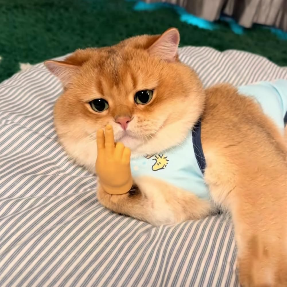 CatPal™ Instant Cat Engagement