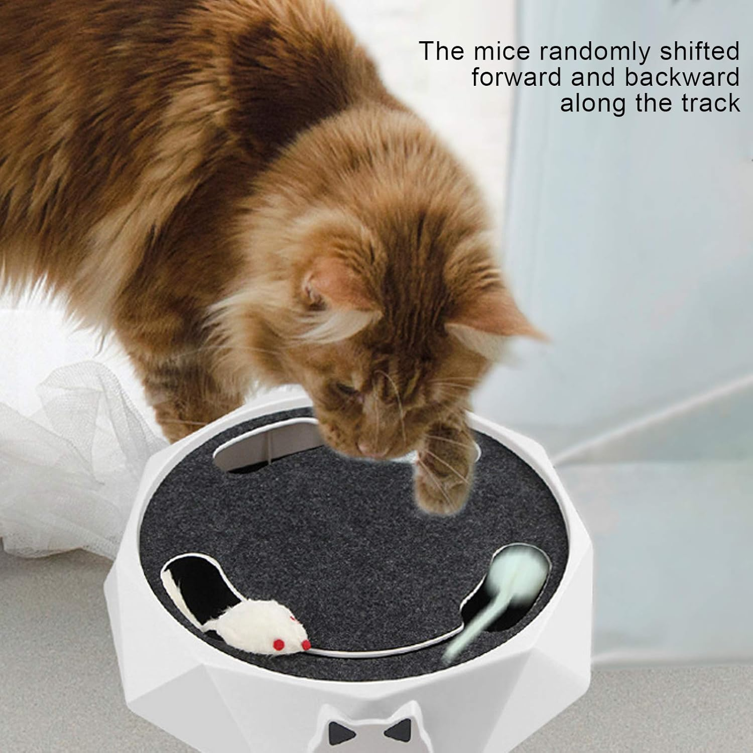 WhiskerChase™ Active Feline Entertainment
