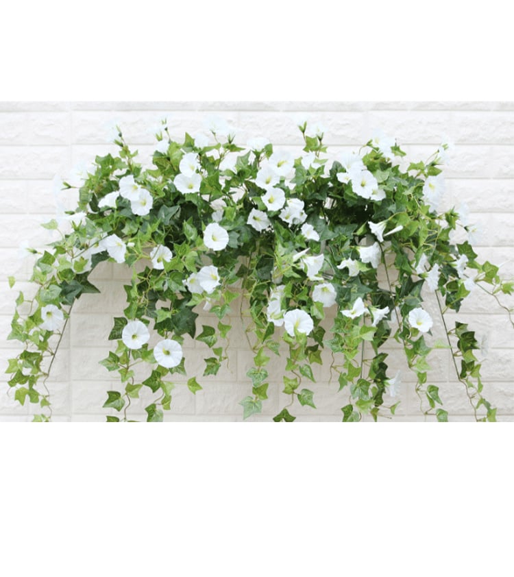 BloomGlory™ Lifelike Morning Blooms