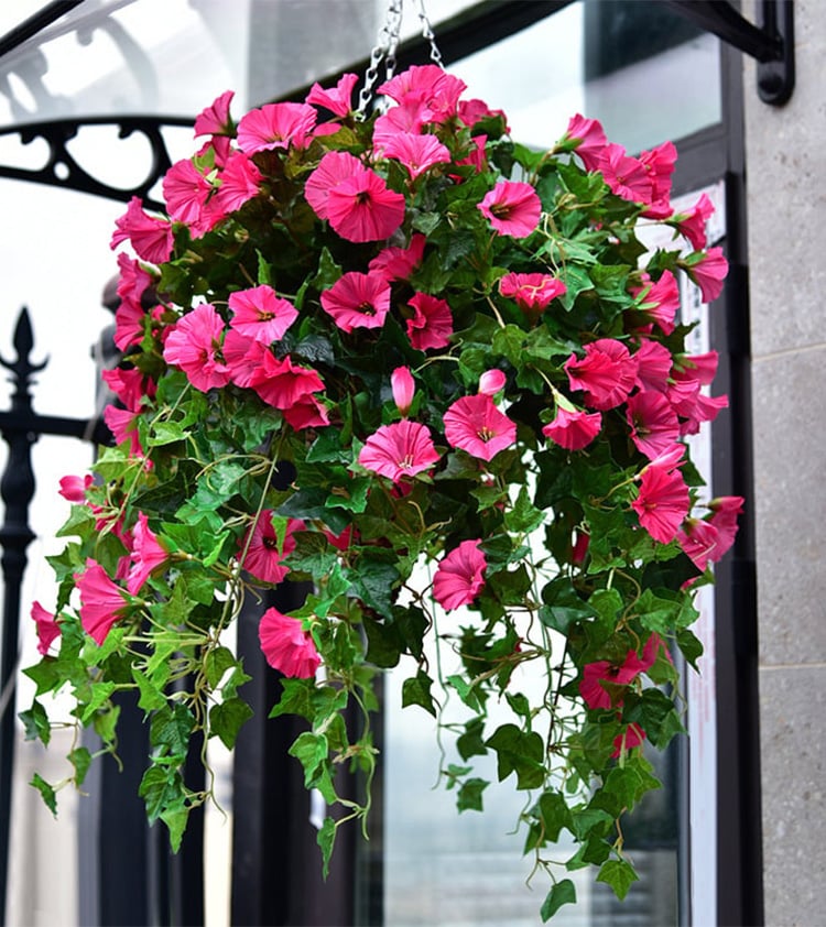 BloomGlory™ Lifelike Morning Blooms