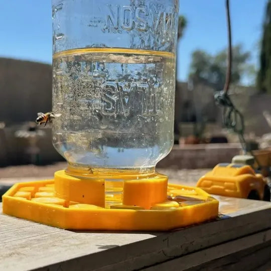 HiveDrink™ Hydrates Pollinator Life