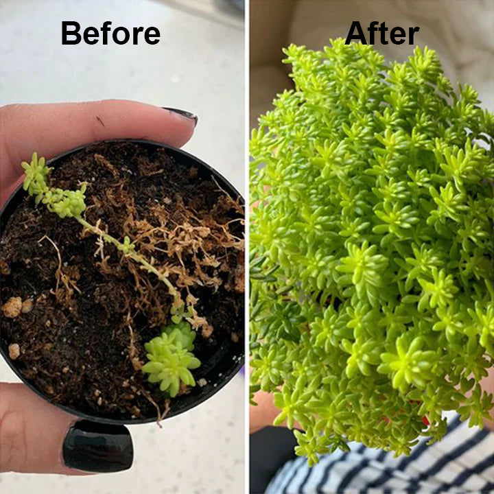 2+1 Free | RootRise™ Faster Plant Recovery