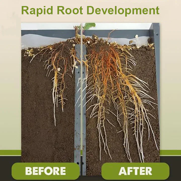 2+1 Free | RootRise™ Faster Plant Recovery