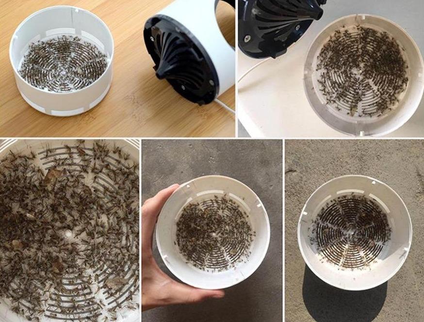 ZapLight™ Mosquito Free Nights